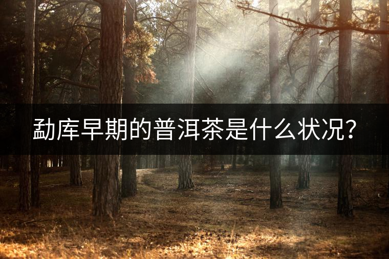 勐庫(kù)早期的普洱茶是什么狀況？