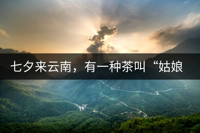七夕來(lái)云南，有一種茶叫“姑娘茶”，也許你就能遇上