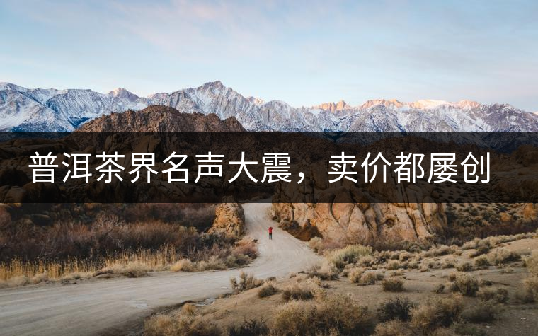 普洱茶界名聲大震，賣價都屢創(chuàng)新高竟然是它