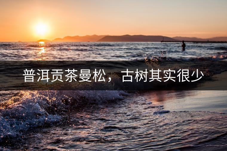 普洱貢茶曼松，古樹其實(shí)很少