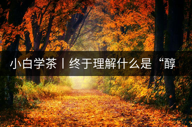 小白學茶丨終于理解什么是“醇厚、耐泡，回甘”了