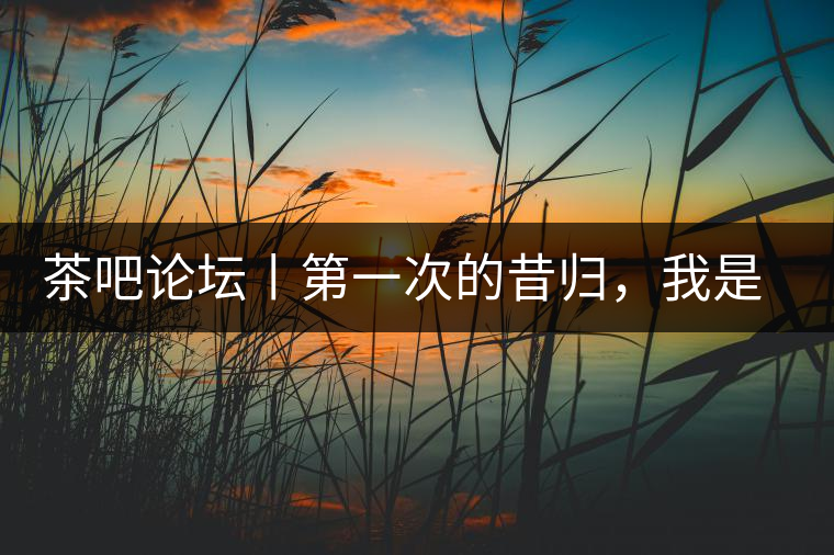 茶吧論壇丨第一次的昔歸，我是這樣喝到的