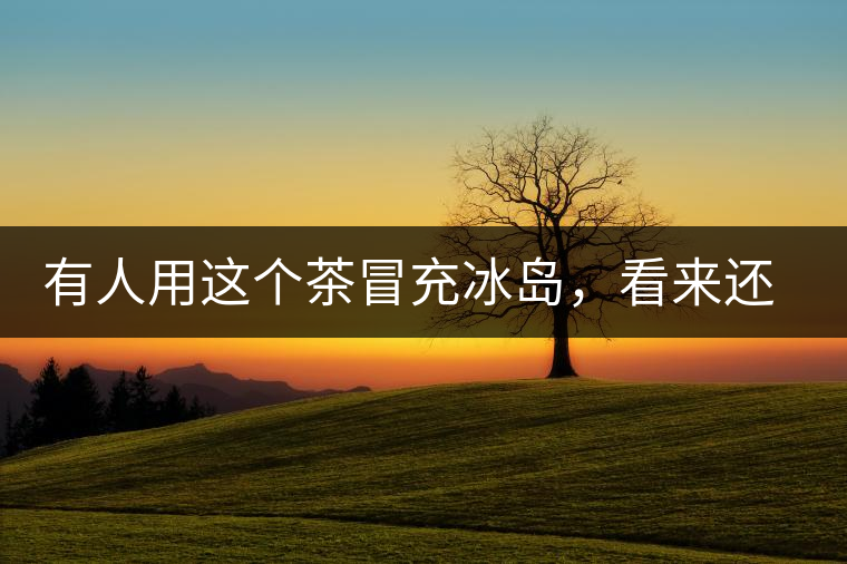 有人用這個(gè)茶冒充冰島，看來(lái)還是有幾分道理