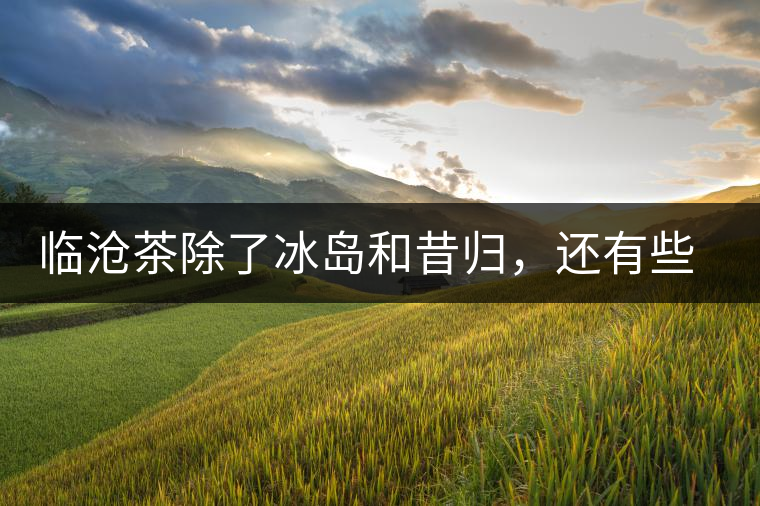 臨滄茶除了冰島和昔歸，還有些什么？