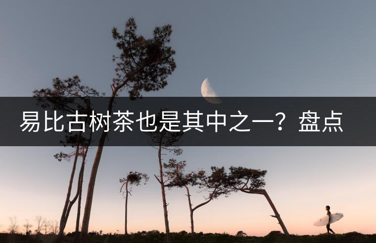 易比古樹茶也是其中之一？盤點(diǎn)當(dāng)下易武最火的十大古樹茶！