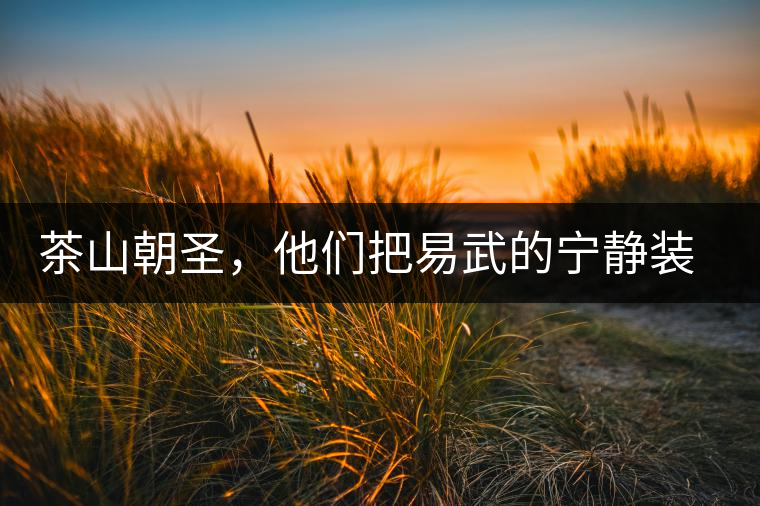 茶山朝圣，他們把易武的寧?kù)o裝進(jìn)心里，卻把成堆垃圾留在