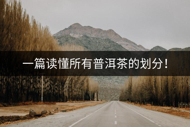一篇讀懂所有普洱茶的劃分！