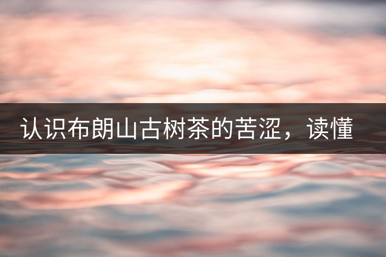 認(rèn)識布朗山古樹茶的苦澀，讀懂勐海普洱茶