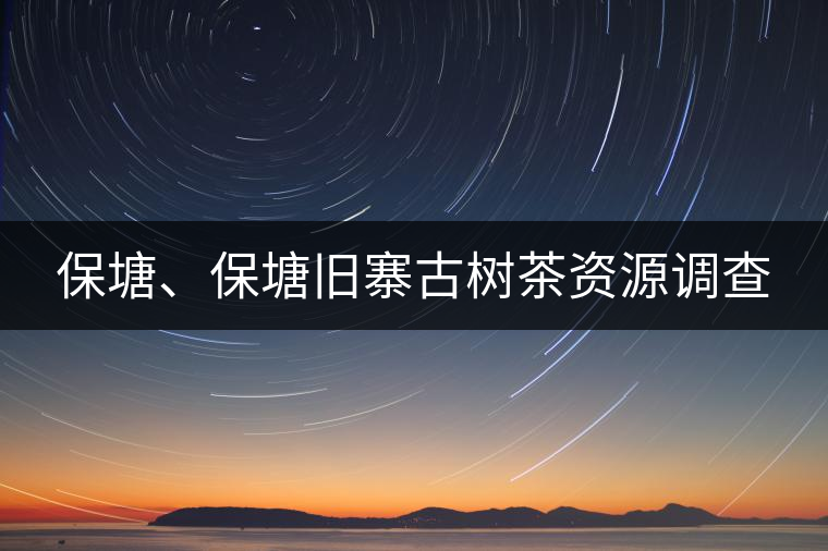 保塘、保塘舊寨古樹茶資源調(diào)查