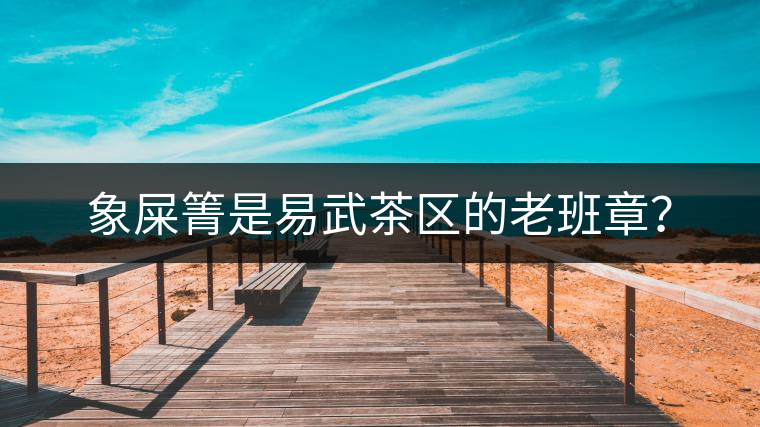 象屎箐是易武茶區(qū)的老班章？