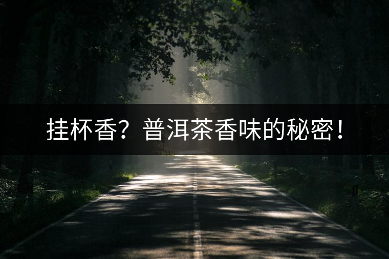 掛杯香？普洱茶香味的秘密！