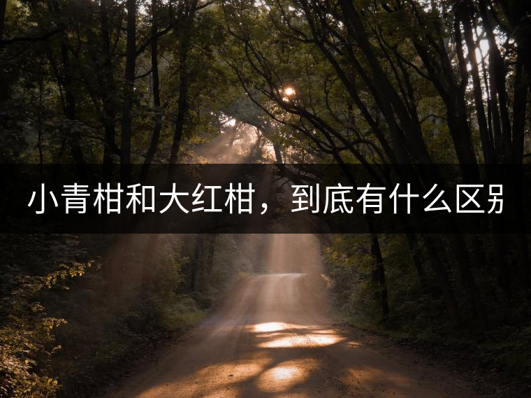 小青柑和大紅柑，到底有什么區(qū)別？