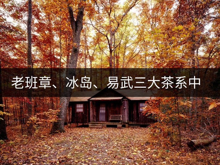 老班章、冰島、易武三大茶系中，“潛力股”為何是易武？