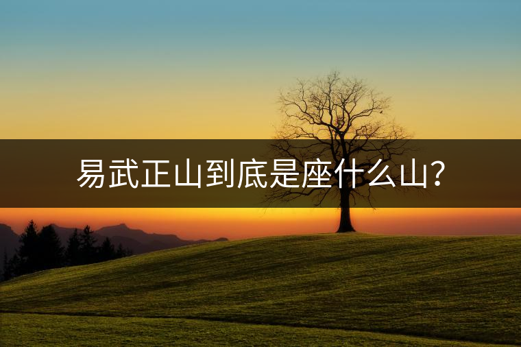 易武正山到底是座什么山？