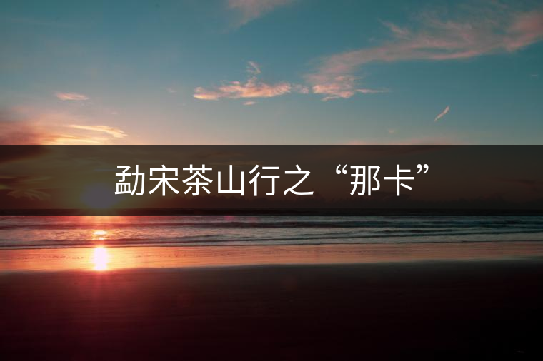 勐宋茶山行之“那卡” 勐宋茶山行之“那卡”