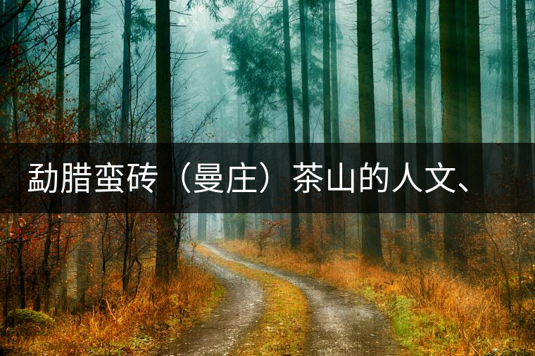 勐臘蠻磚（曼莊）茶山的人文、生態(tài)