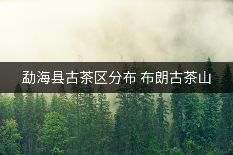 勐?？h古茶區(qū)分布 布朗古茶山