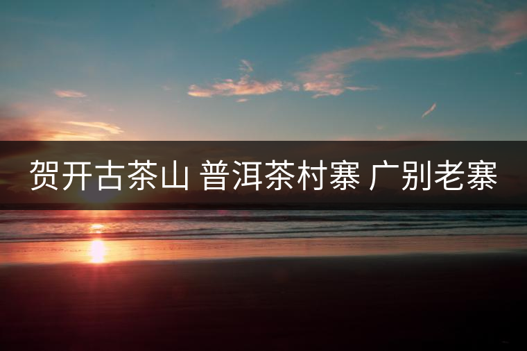 賀開古茶山 普洱茶村寨 廣別老寨