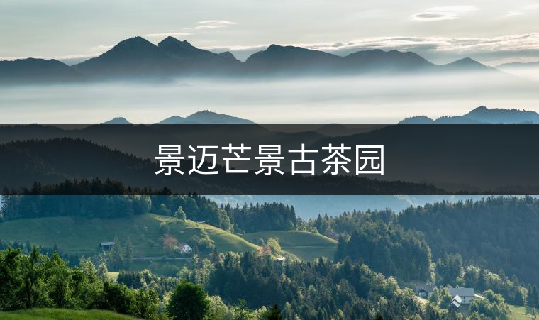 景邁芒景古茶園