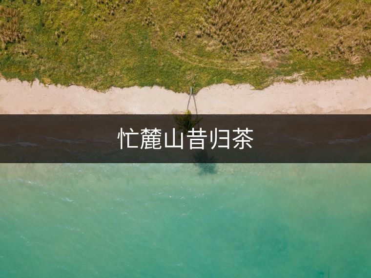 忙麓山昔歸茶 忙麓山昔歸茶