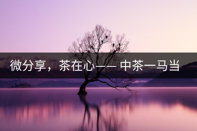 微分享，茶在心—— 中茶一馬當(dāng)先