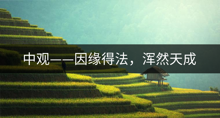中觀——因緣得法，渾然天成