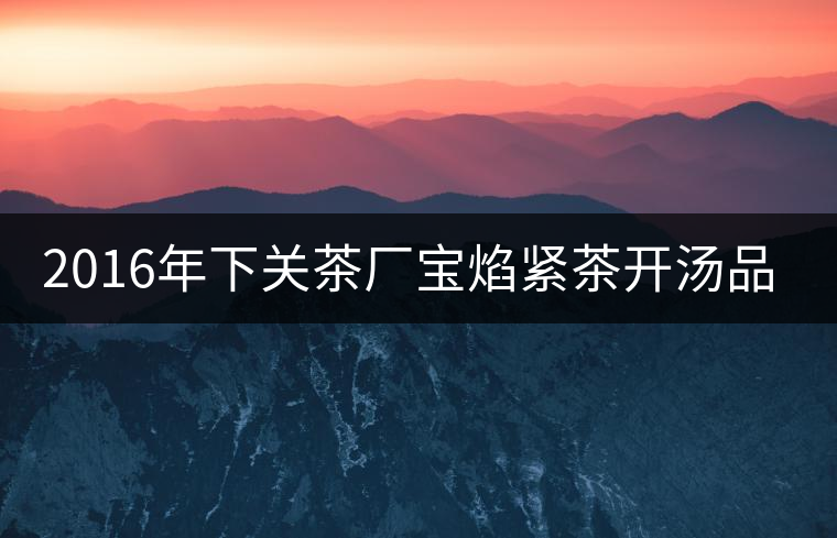 2016年下關(guān)茶廠寶焰緊茶開(kāi)湯品鑒