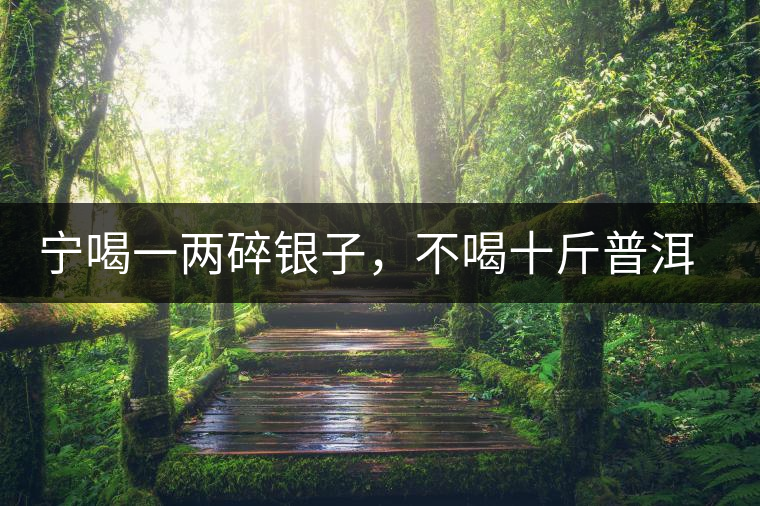 寧喝一兩碎銀子，不喝十斤普洱茶