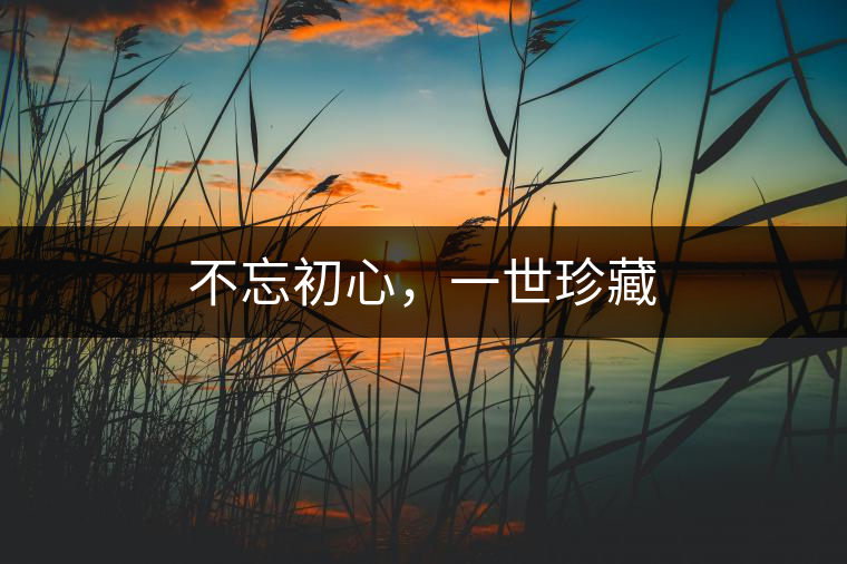 不忘初心，一世珍藏