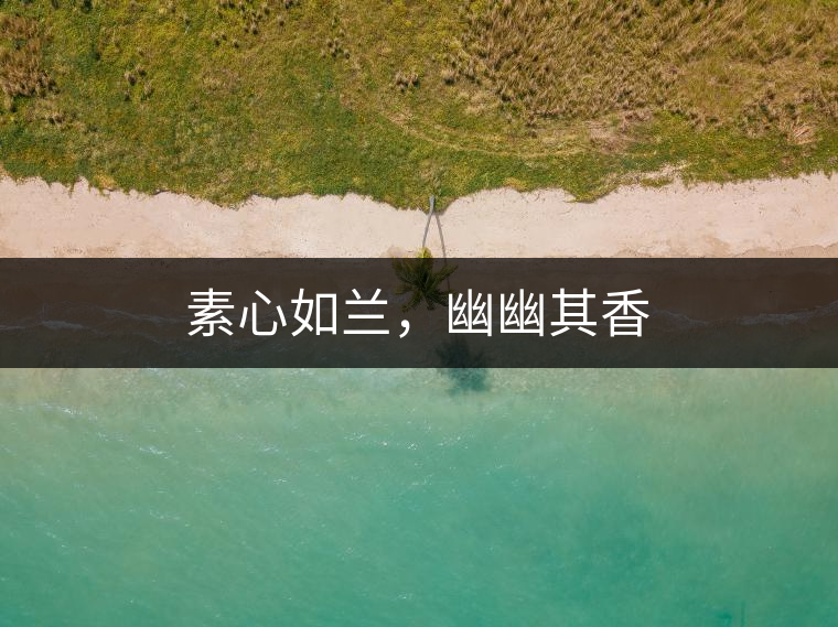 素心如蘭，幽幽其香