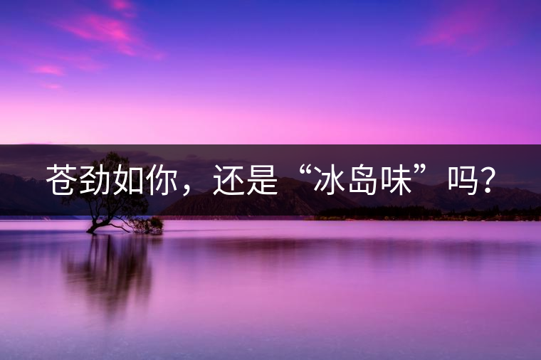 蒼勁如你，還是“冰島味”嗎？