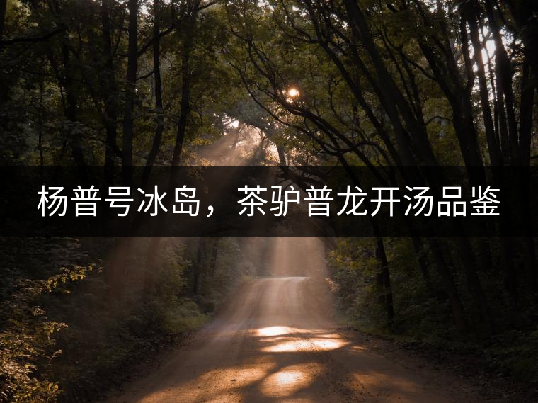 楊普號(hào)冰島，茶驢普龍開湯品鑒