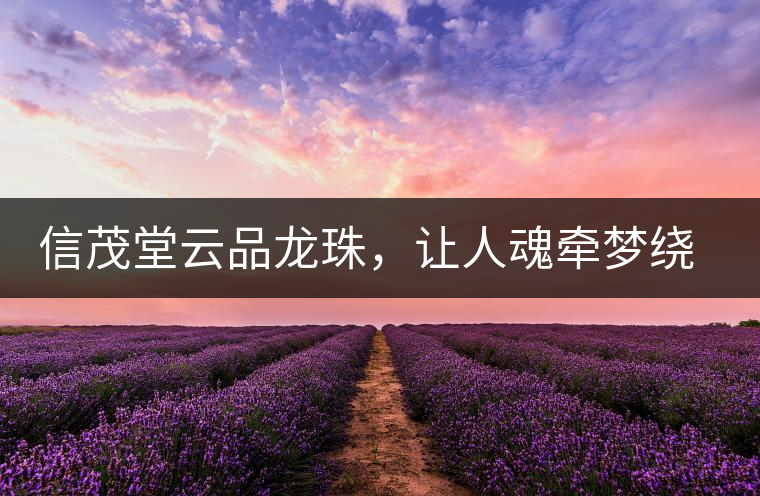 信茂堂云品龍珠，讓人魂牽夢繞的尤物