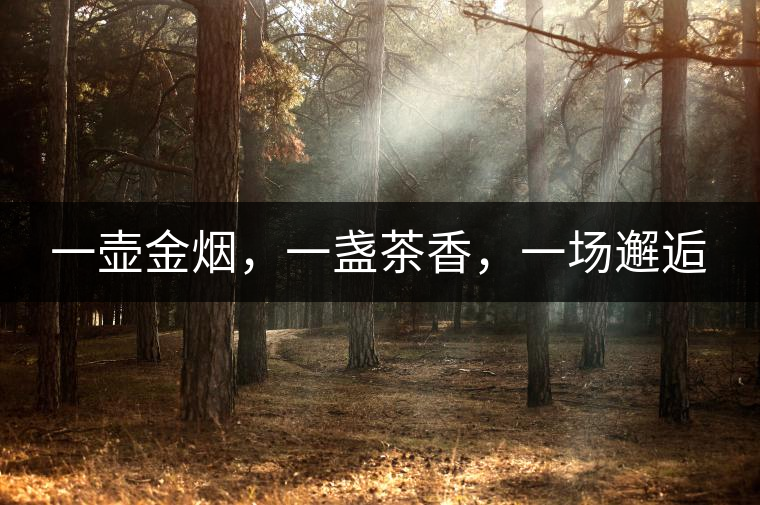一壺金煙，一盞茶香，一場邂逅