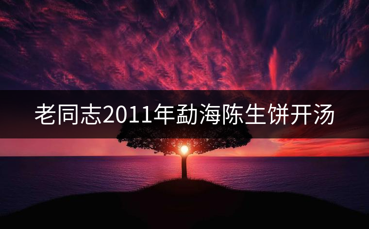 老同志2011年勐海陳生餅開湯 老同志2011年勐海陳生餅開湯