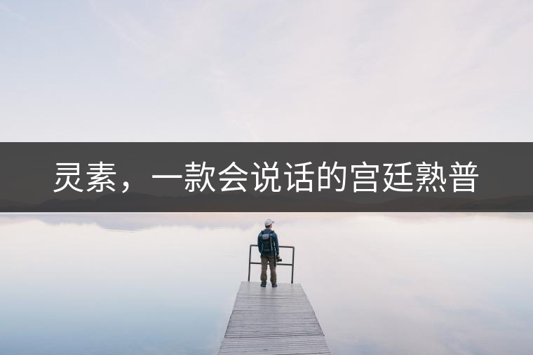 靈素，一款會(huì)說(shuō)話的宮廷熟普