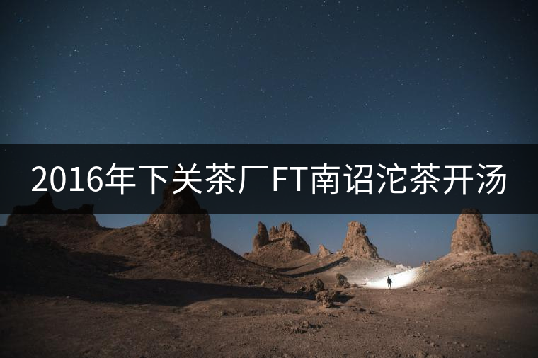 2016年下關茶廠FT南詔沱茶開湯 2016年下關茶廠FT南詔沱茶開湯