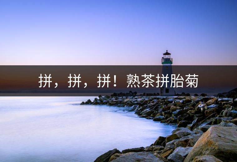 拼，拼，拼！熟茶拼胎菊