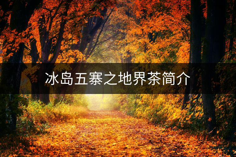 冰島五寨之地界茶簡(jiǎn)介 冰島五寨之地界茶簡(jiǎn)介