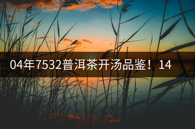 04年7532普洱茶開(kāi)湯品鑒！14年轉(zhuǎn)化，經(jīng)典雪印配方！