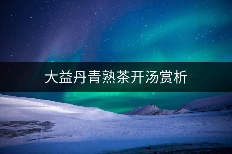 大益丹青熟茶開湯賞析