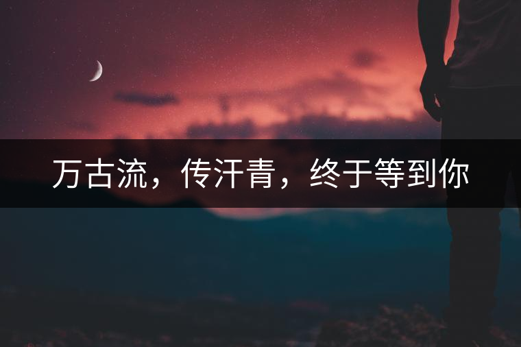 萬(wàn)古流，傳汗青，終于等到你