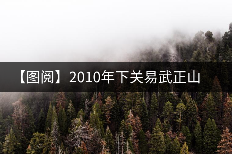 【圖閱】2010年下關易武正山老樹沱茶開湯