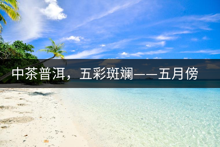 中茶普洱，五彩斑斕——五月傍晚，一道茶