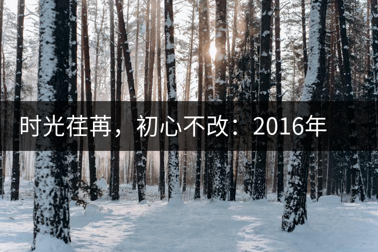 時光荏苒，初心不改：2016年老同志為天下人做好茶開湯