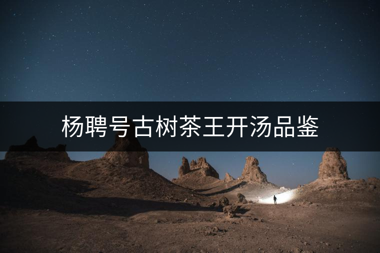 楊聘號(hào)古樹茶王開(kāi)湯品鑒