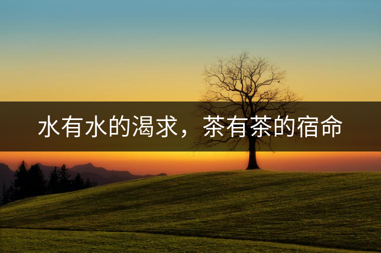 水有水的渴求，茶有茶的宿命