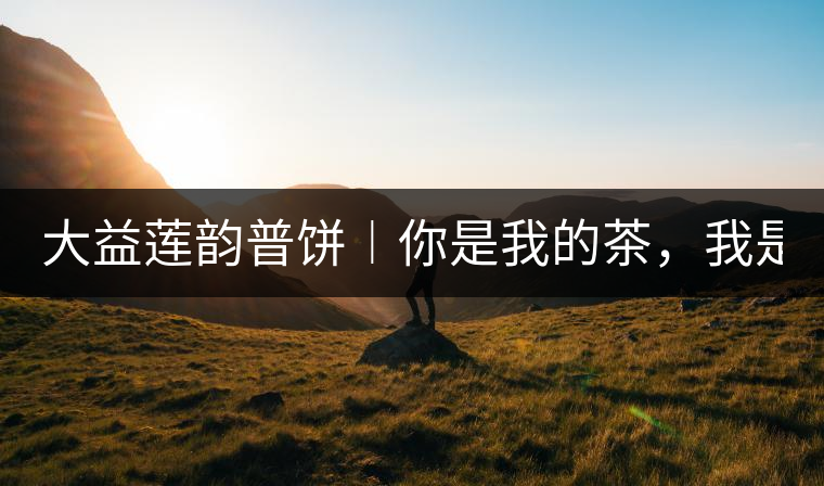 大益蓮韻普餅︱你是我的茶，我是你的人！