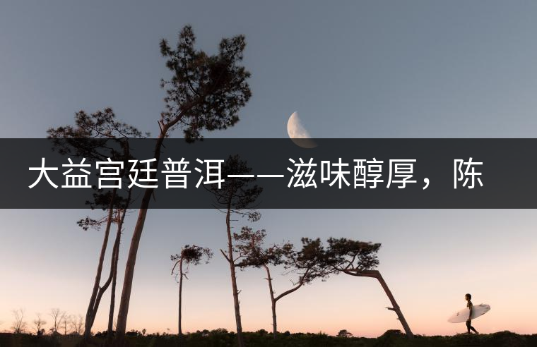 大益宮廷普洱——滋味醇厚，陳香濃郁