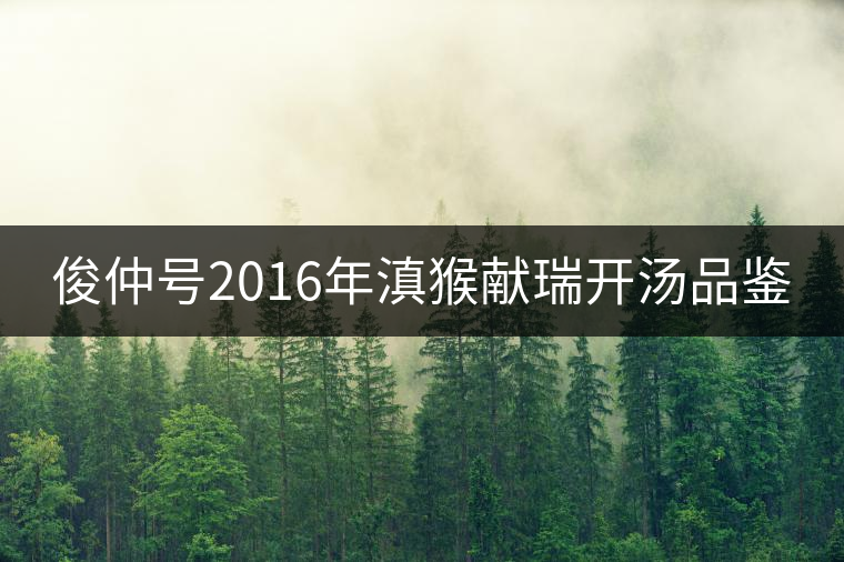 俊仲號2016年滇猴獻(xiàn)瑞開湯品鑒
